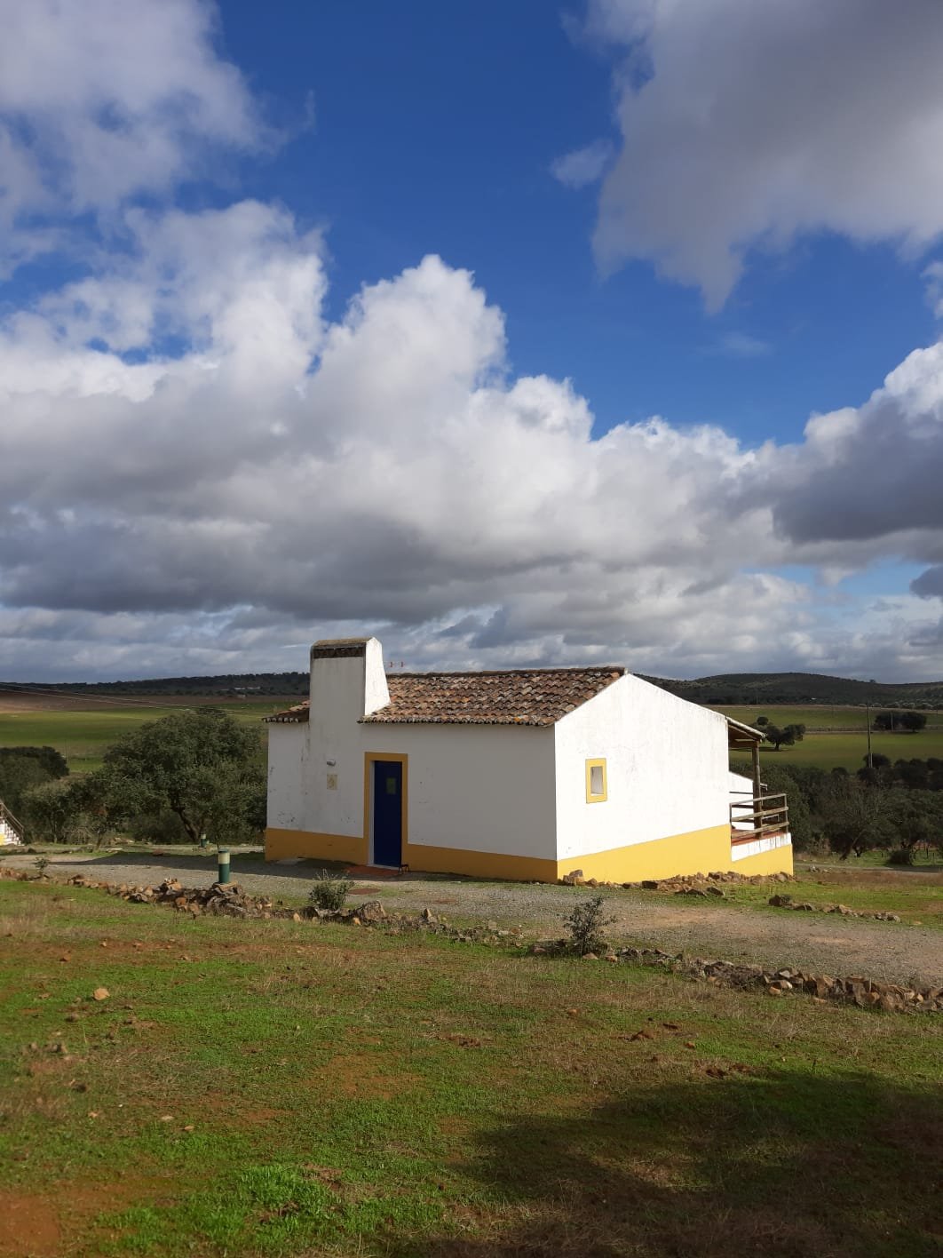 Quinta dos Amarelos-portrait