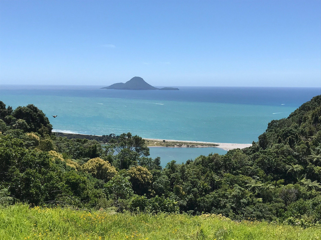 Kohi Point Lookout景点图片