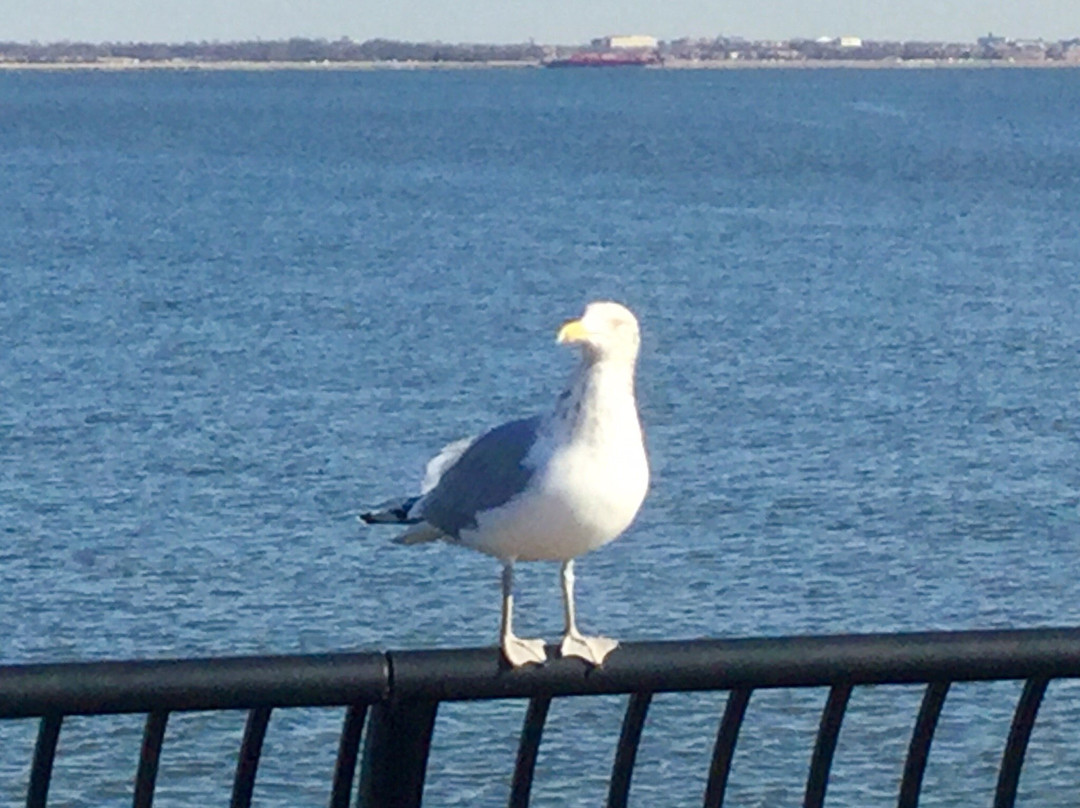 Franklin D. Roosevelt Boardwalk and Beach景点图片