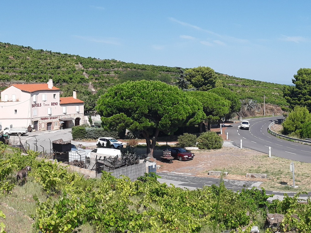 Banyuls Domaine Reno景点图片