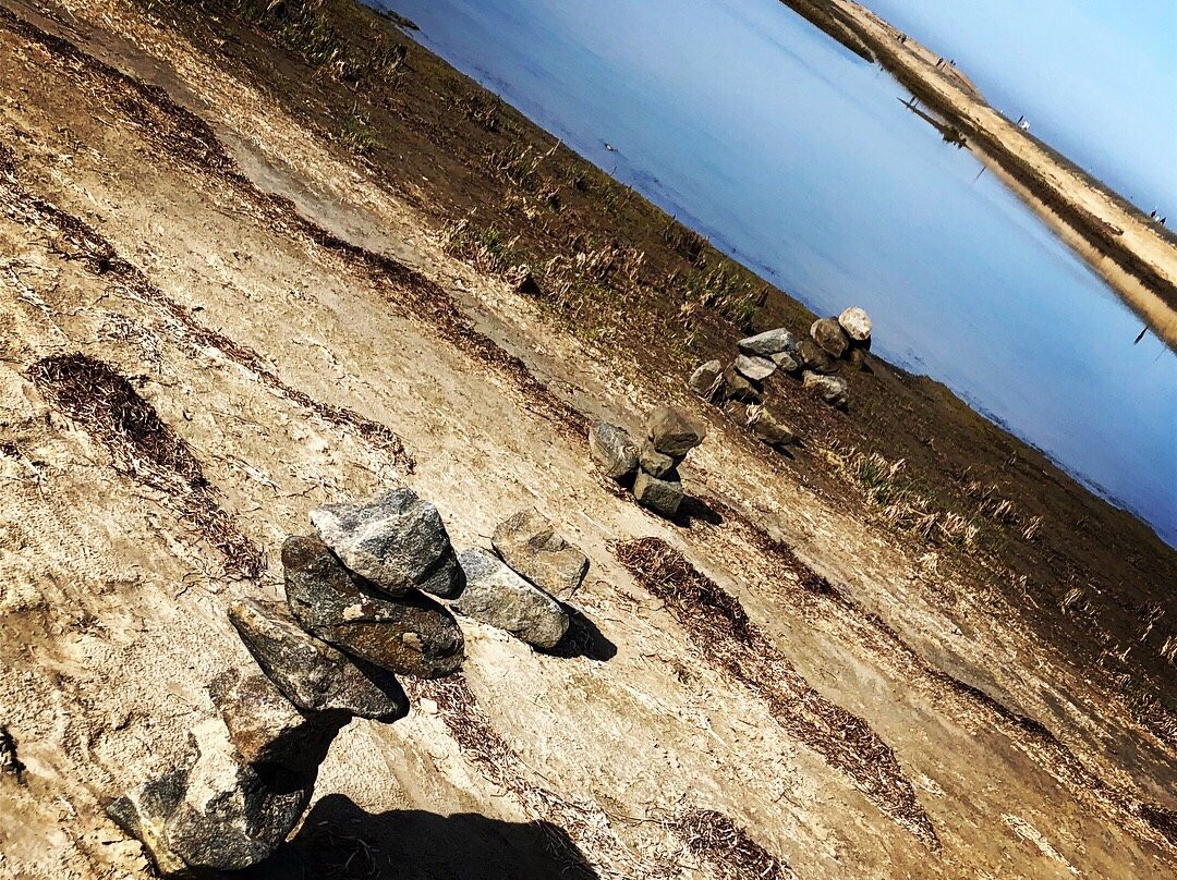 Bolsa Chica Ecological Reserve景点图片