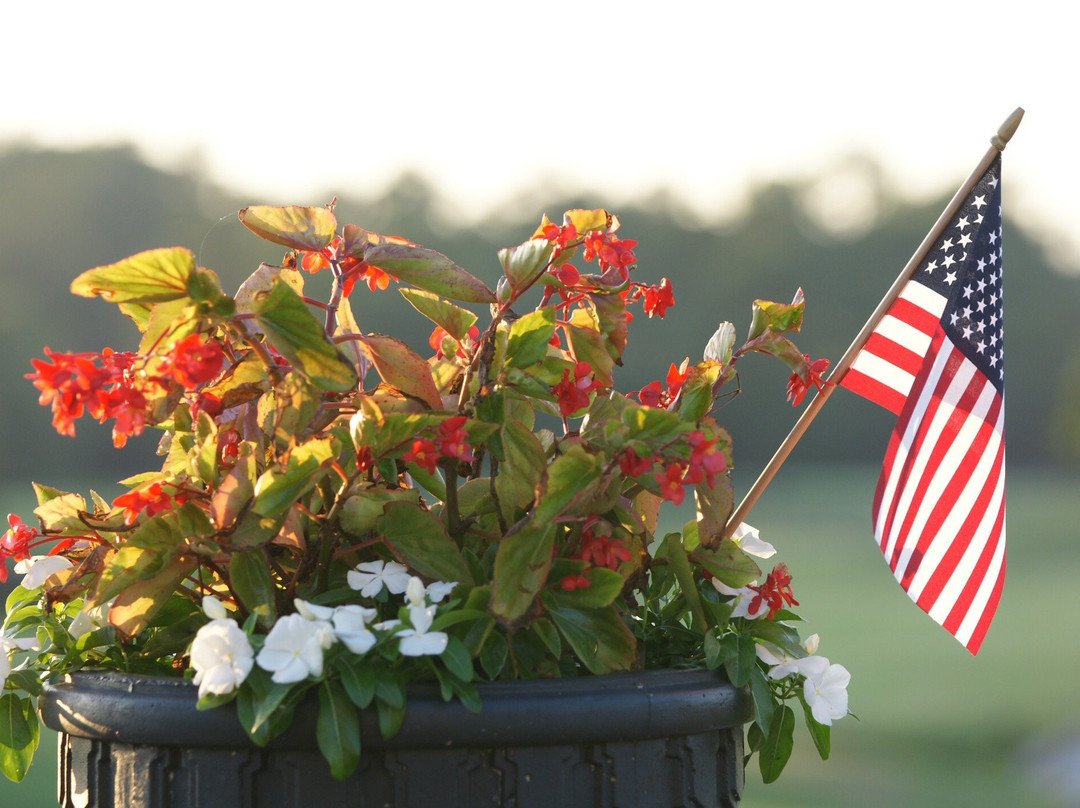 Country Club of South Carolina-佛罗伦萨必去景点