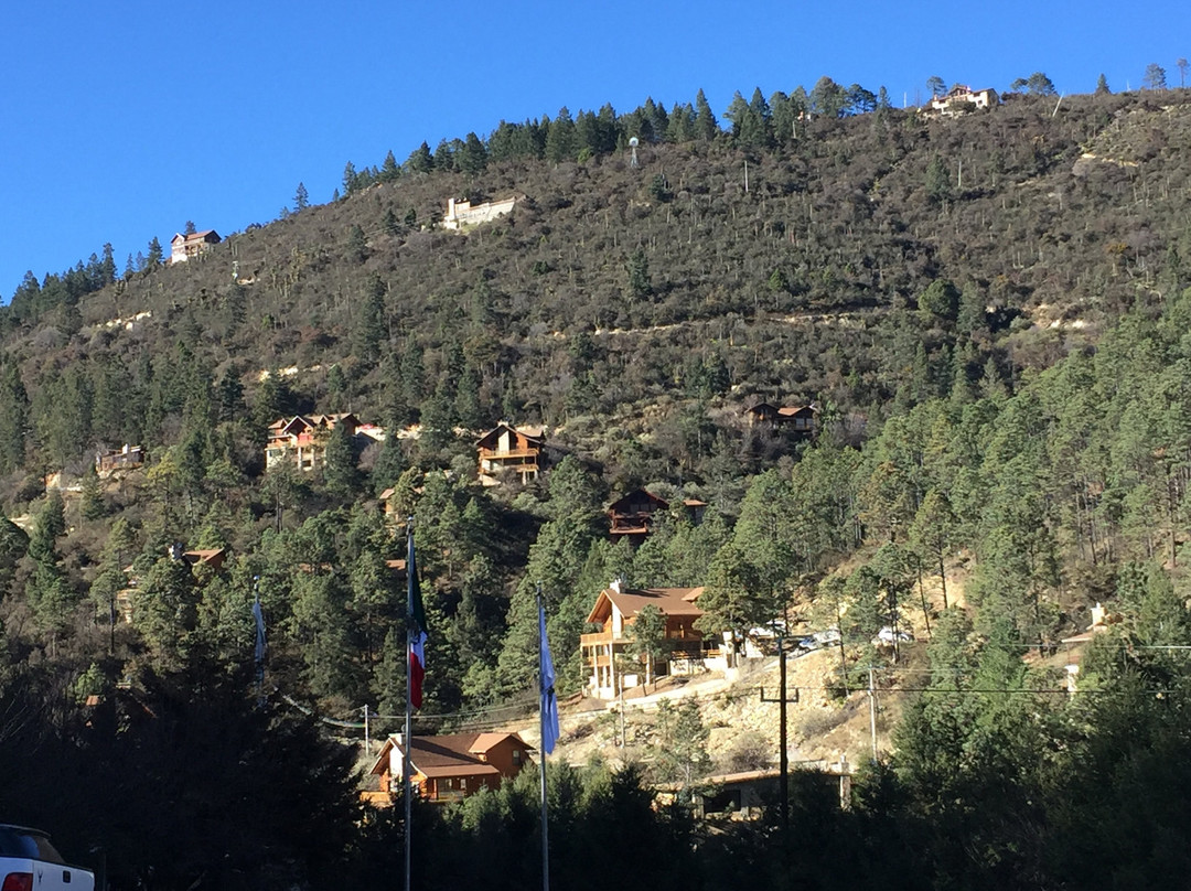 Bosques de Monterreal主图