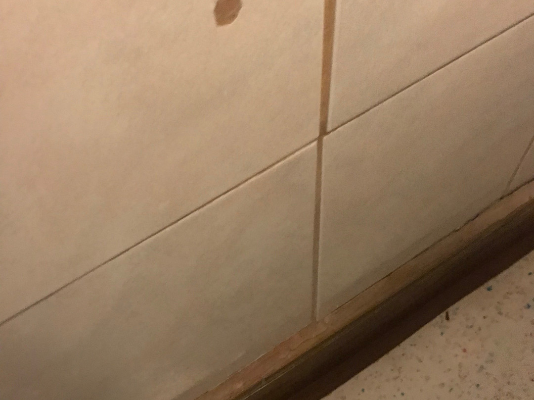 Hotel Hubertushof主图