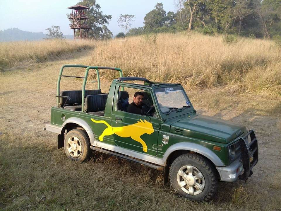 Rajaji National Park/Tiger Reserve Safari景点图片