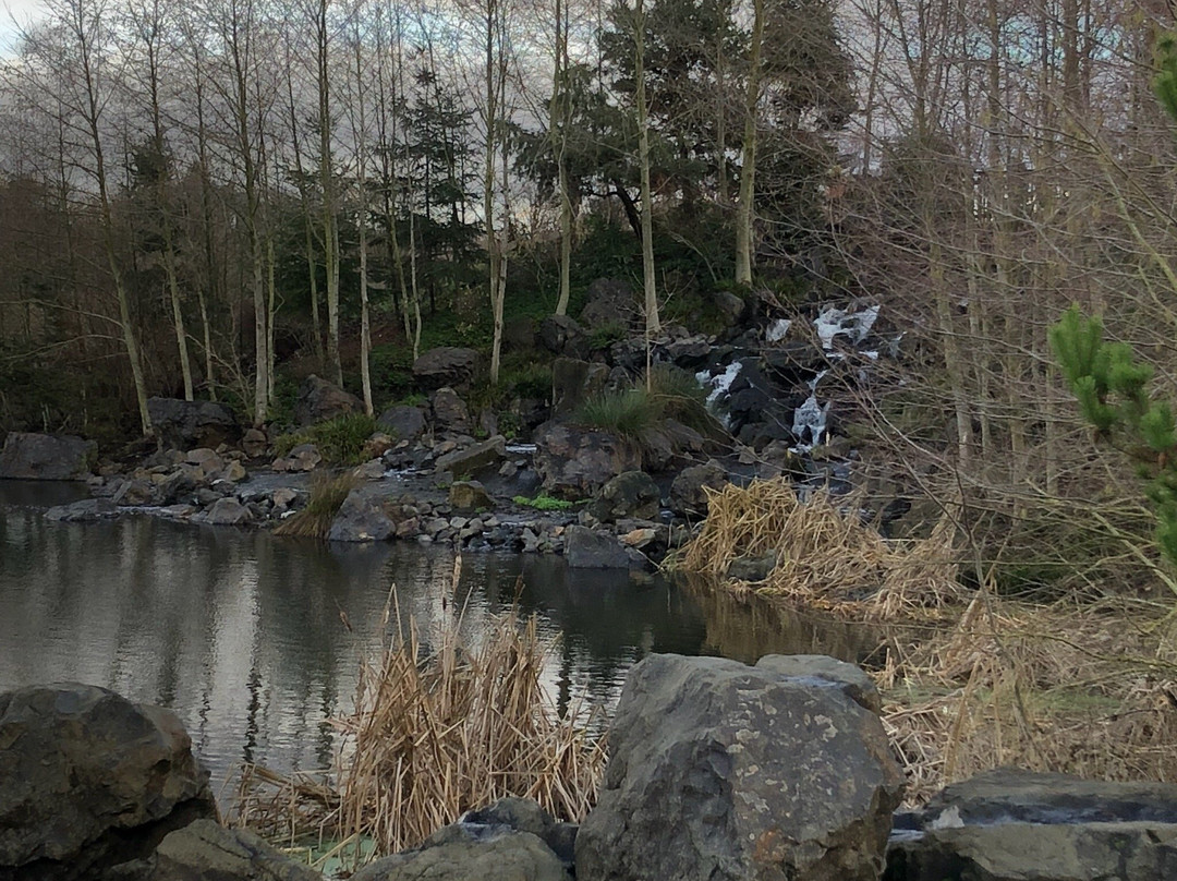 Talking Water Gardens-奥尔巴尼必去景点