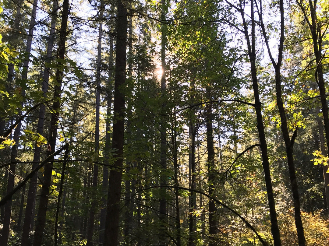 Lake Wilderness Arboretum-Maple Valley必去景点