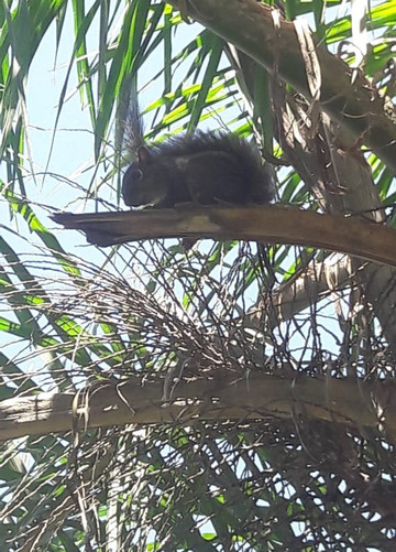 Pousada Ventos de Outono主图