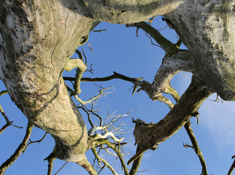 Lentevreugd-Wassenaar必去景点