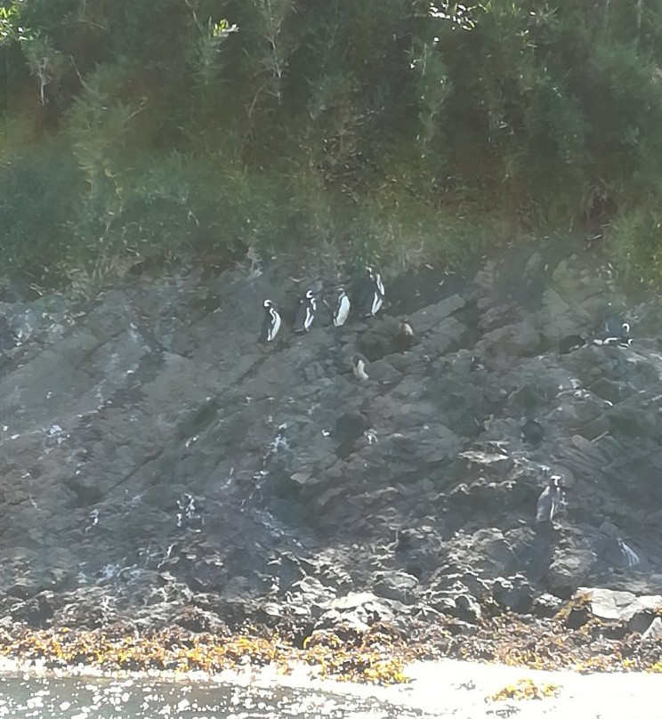 Chiloe Turismo Verde-Ancud必去景点