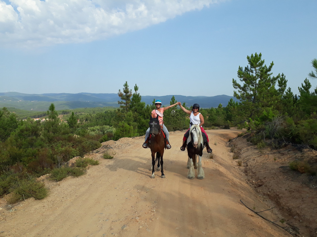Horseback riding Portugal Adventures景点图片