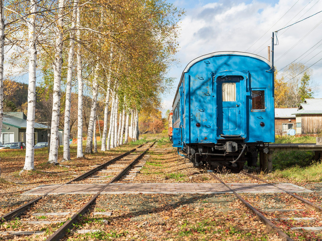 Aioi Tetsudo Park-津别町必去景点