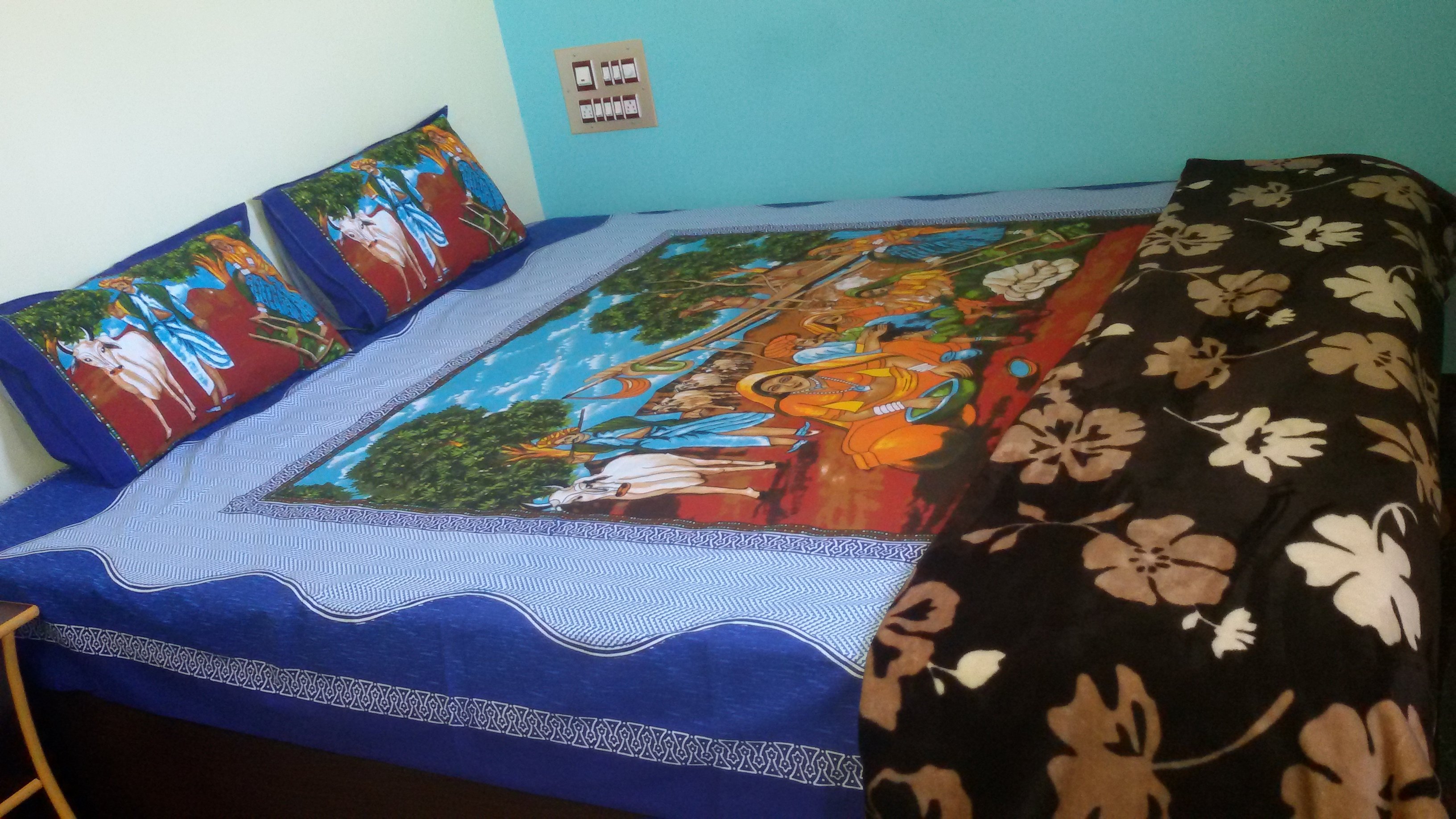 Vinayaka Homestay Hampi-官方
