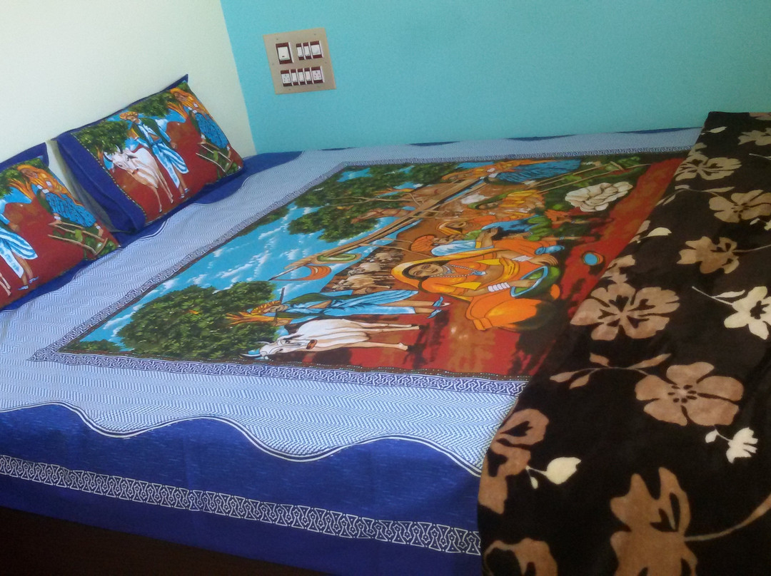 Vinayaka Homestay Hampi主图