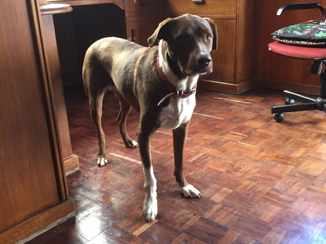 Harmony Place Bed and Breakfast主图