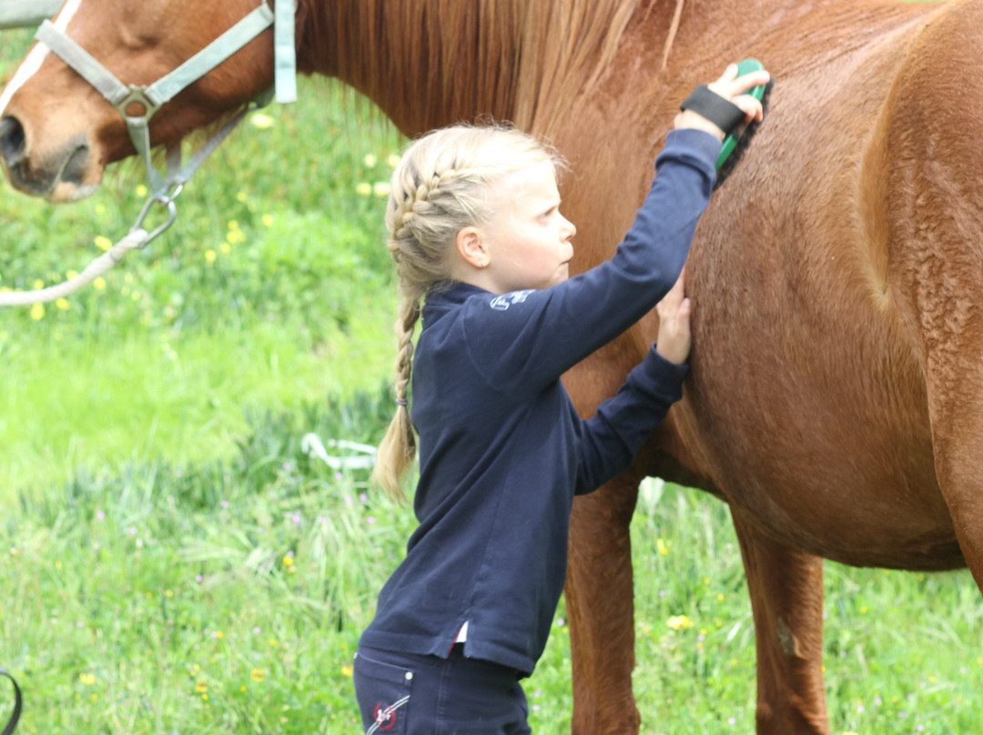 NaturaHorses-Vila Nova de Milfontes必去景点