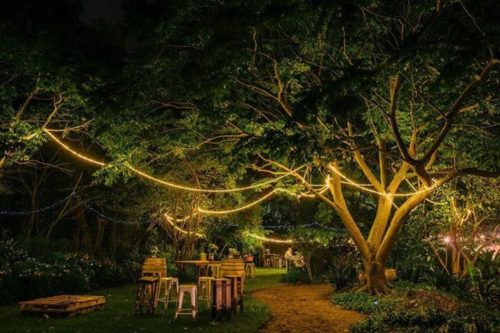 Maddies of Bolwarra主图