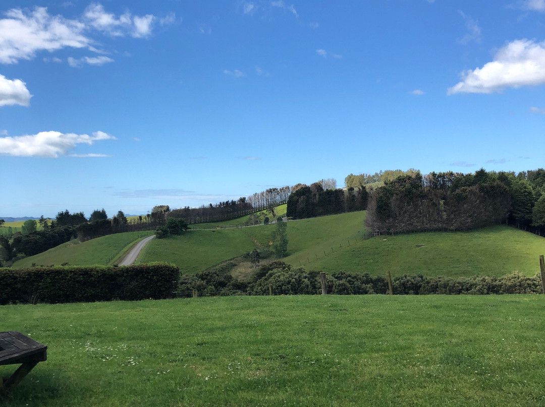 Springcurl Lodge Bed & Breakfast主图