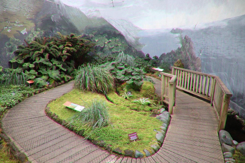 Sub-Antarctic Plant House-霍巴特必去景点