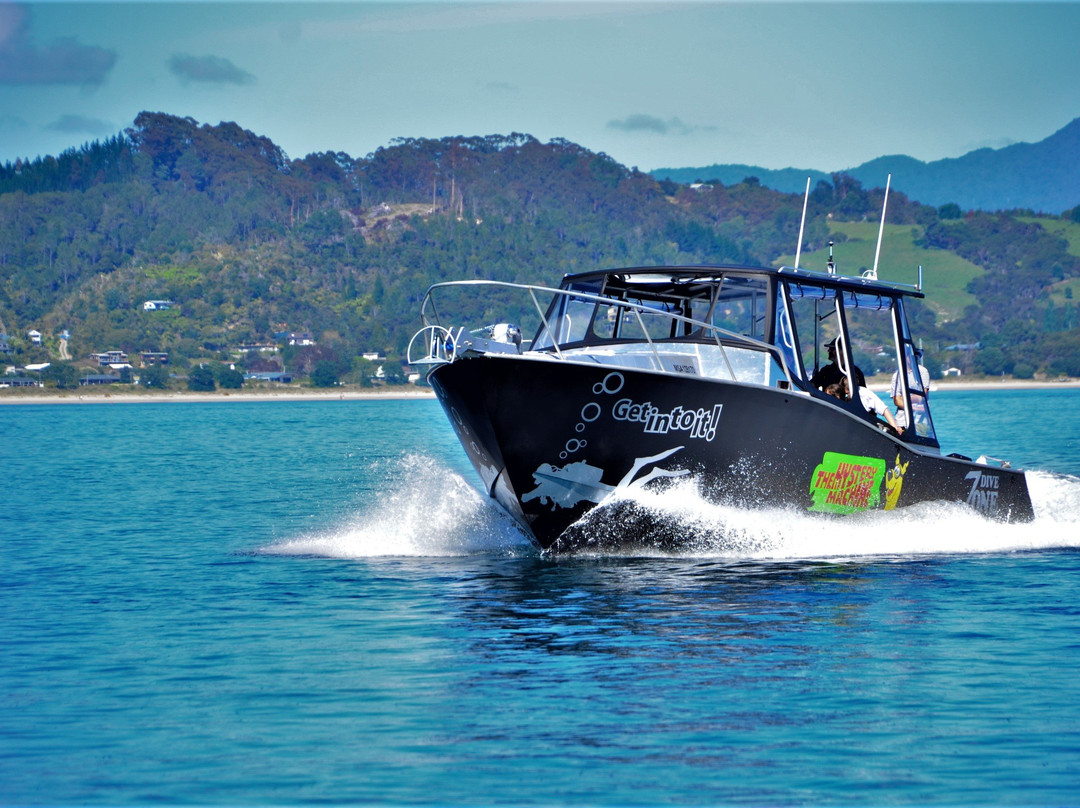 Dive Zone Whitianga-菲蒂昂格必去景点