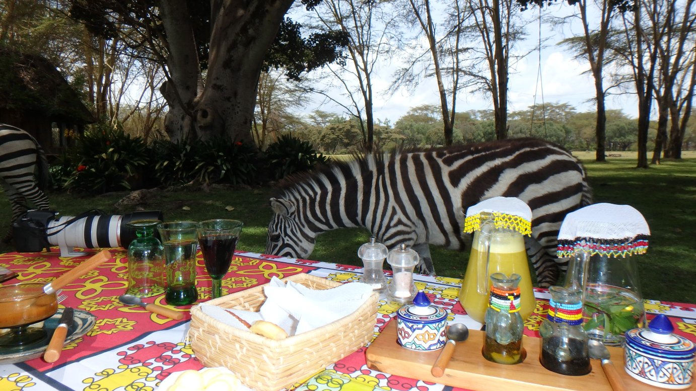 Sirocco Wildlife Sanctuary-浴室