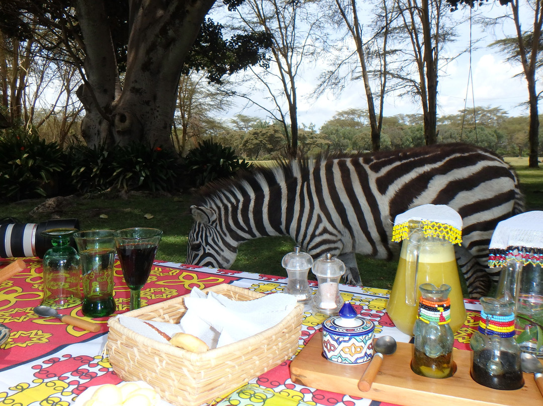 Sirocco Wildlife Sanctuary主图