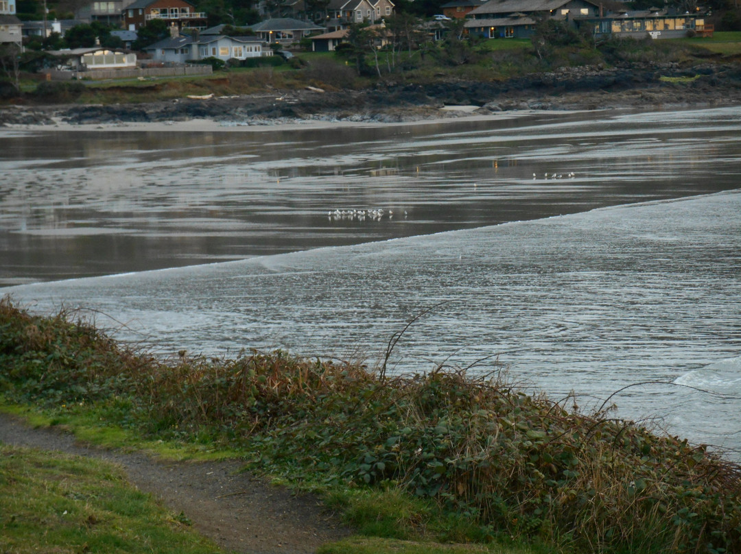 Yachats Ocean Road State Natural Site-亚查茨必去景点