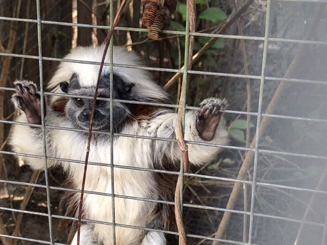 The Florida International Teaching Zoo-Bushnell必去景点