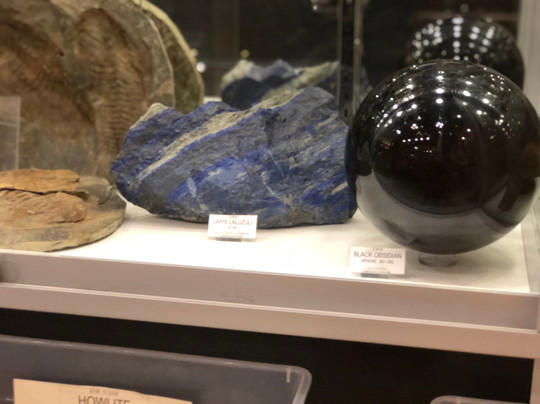 Earth Gifts-杰克逊维尔必去景点