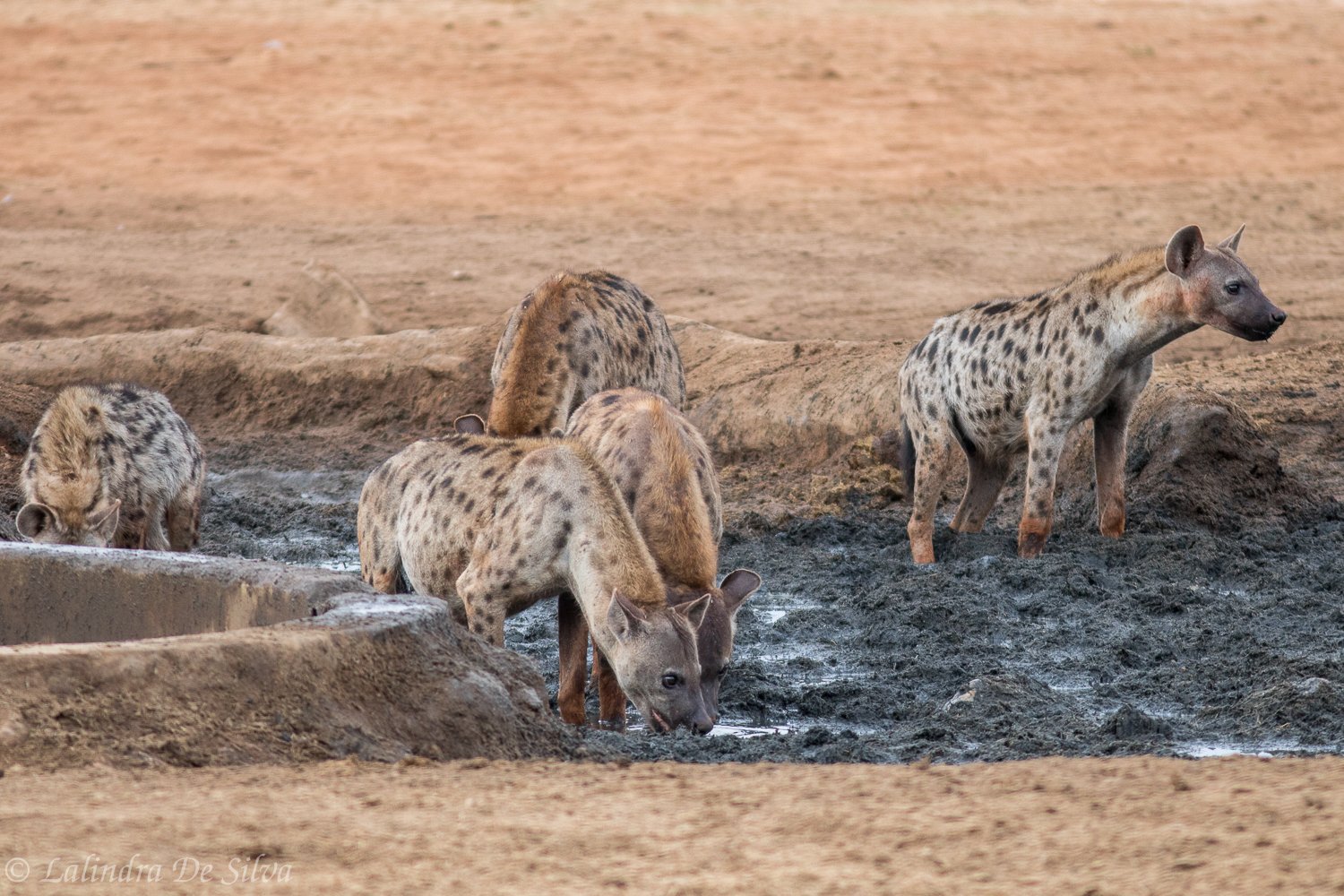 Sentrim Tsavo Lodge-浴室