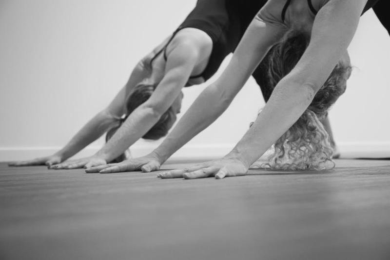 Zenko Yoga景点图片