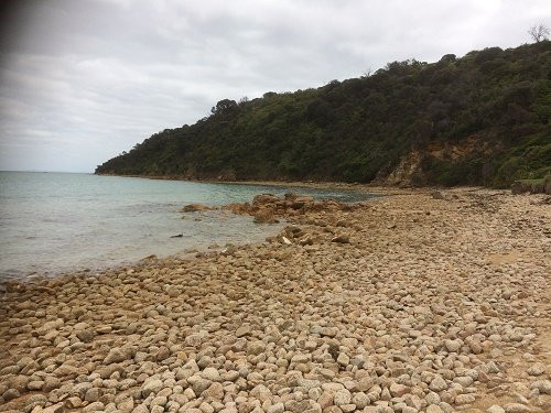 Pebble Beach景点图片