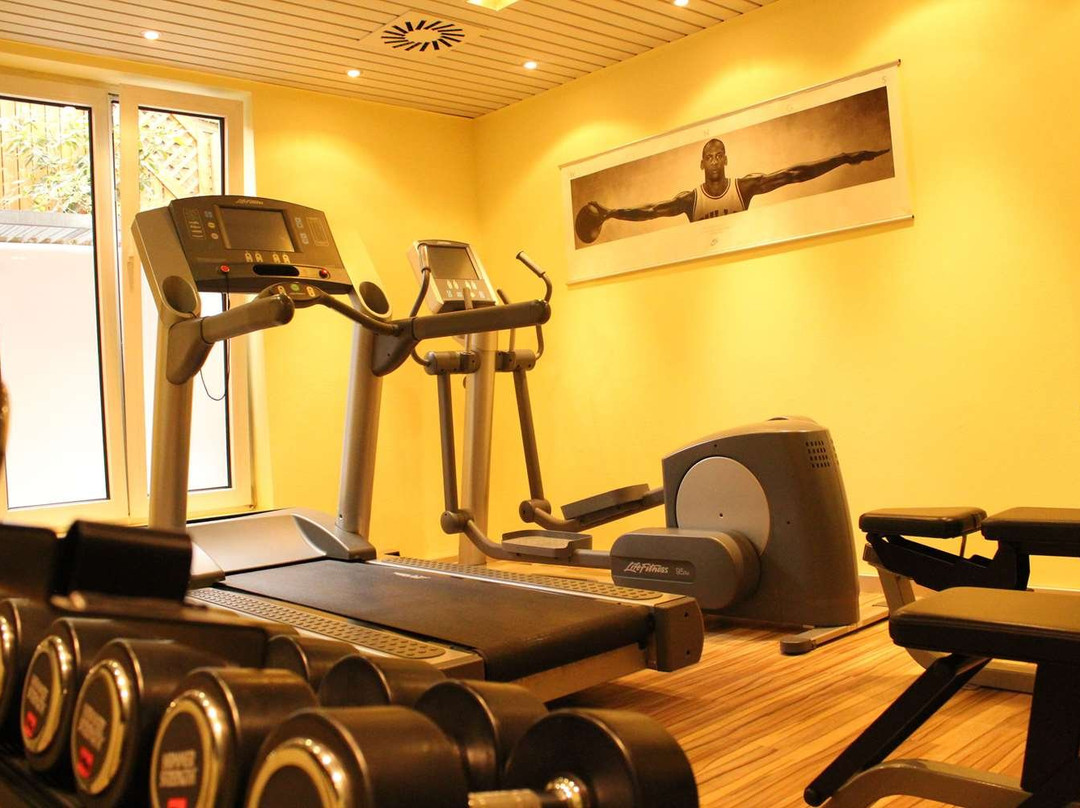 杜密兹尔奥斯特里斯酒店主图