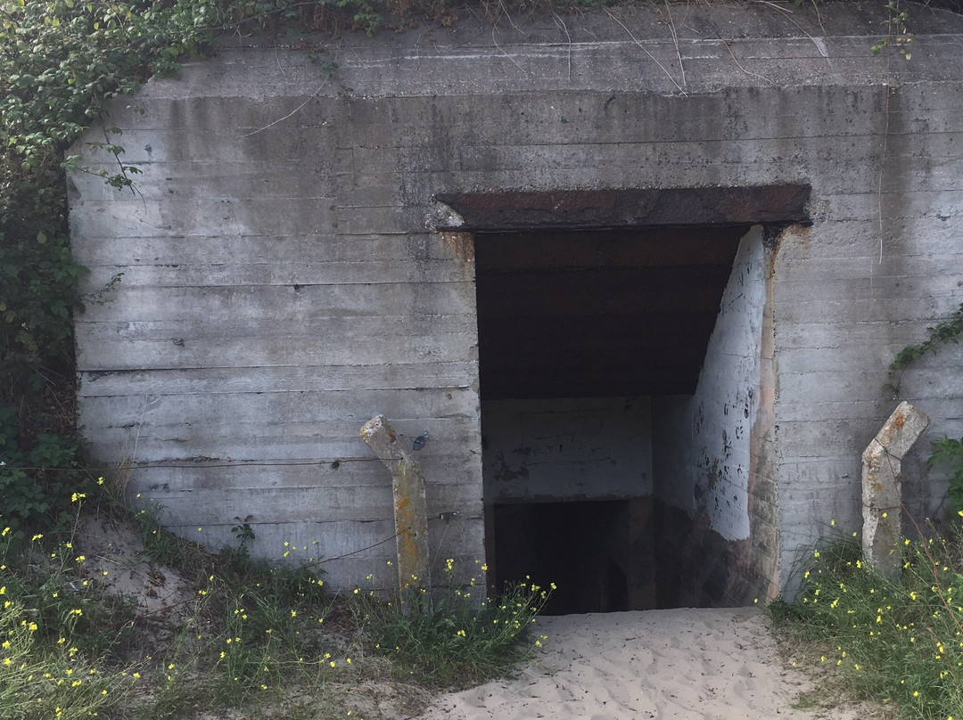 Bunker Route景点图片