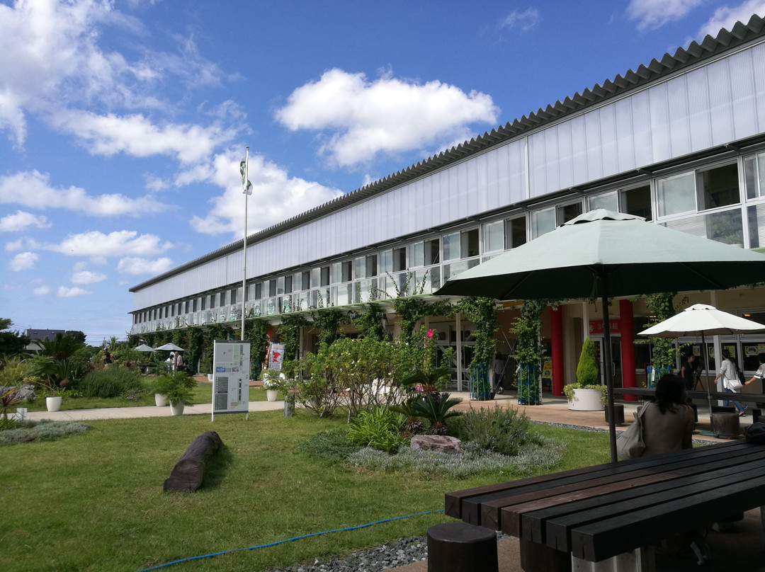 Michi-no-Eki Hota Shogakko-锯南町必去景点