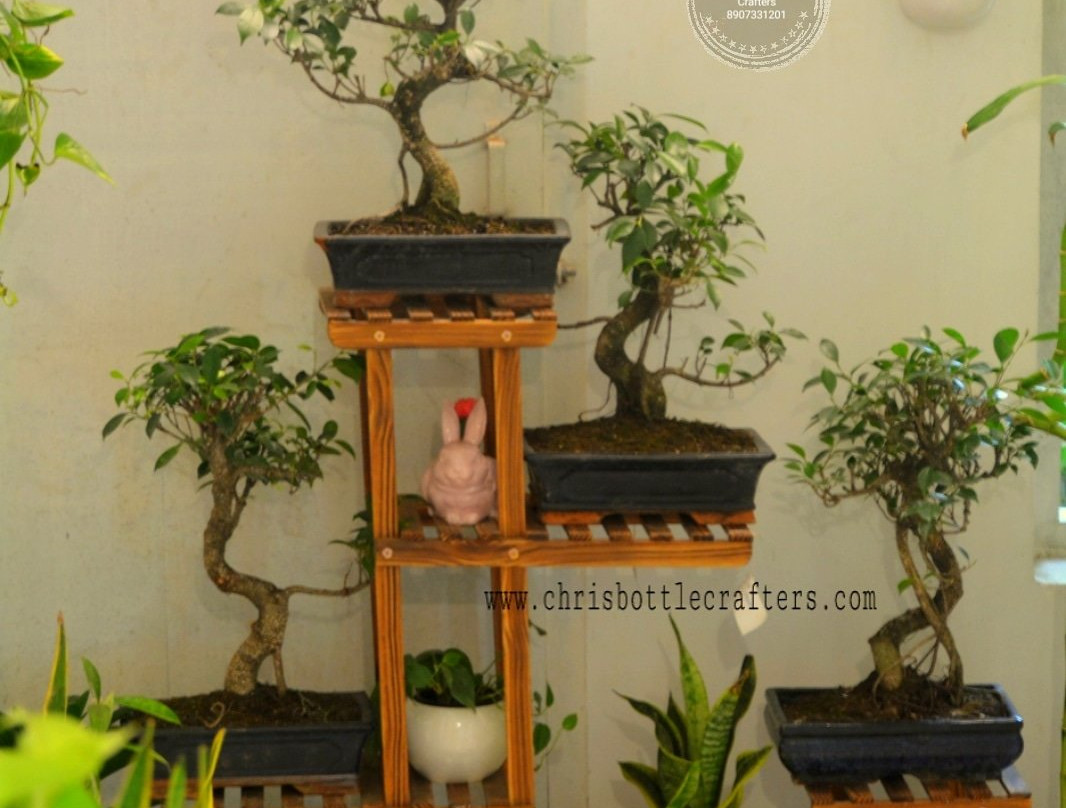 Chris Bottle Crafters Indoor Home Garden景点图片