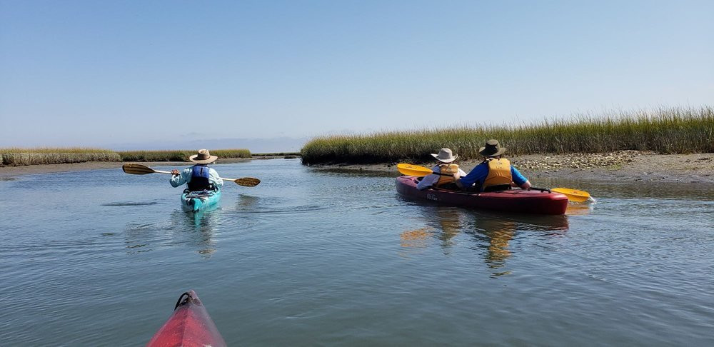 Great Marsh Kayak Tours景点图片