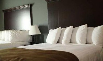 The Watford Hotel主图