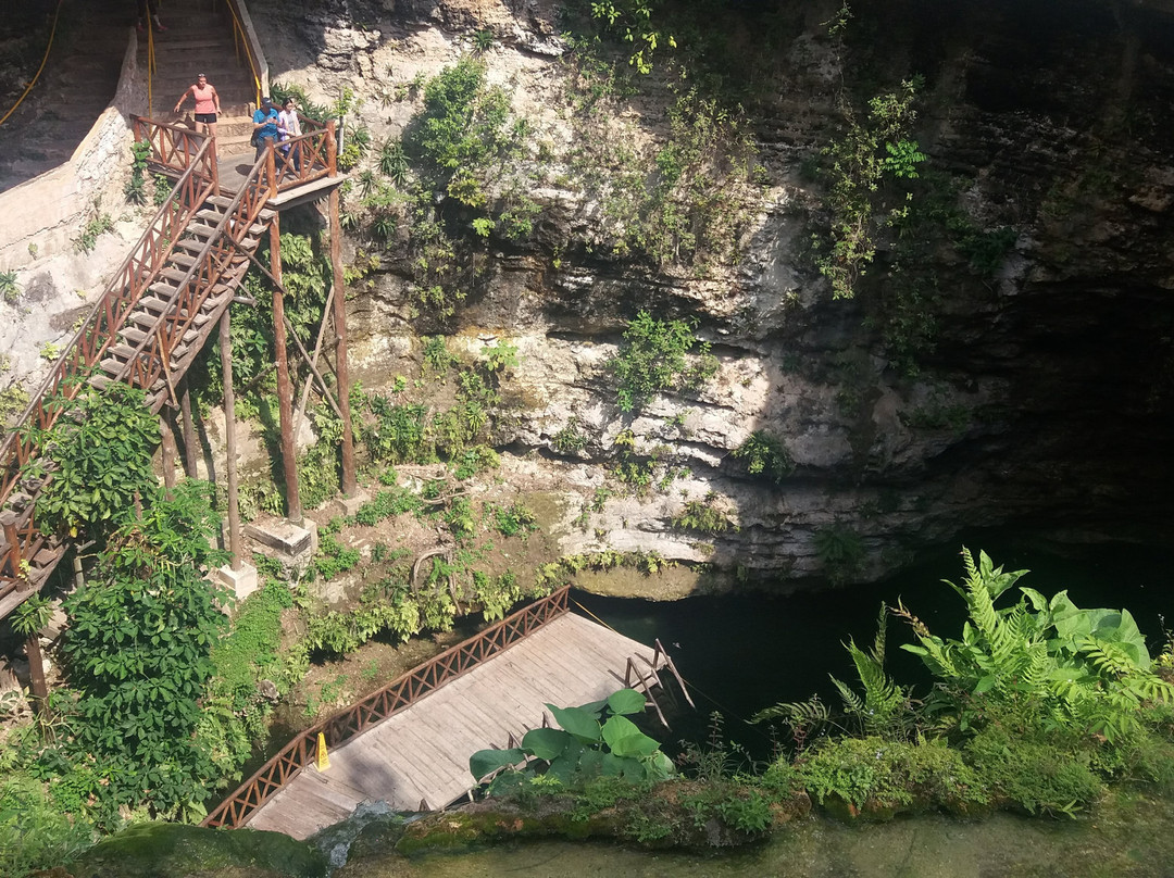 Cenote Saamal景点图片