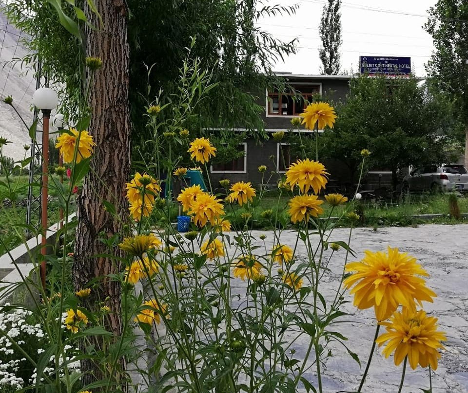 Gulmit Continental Hotel主图