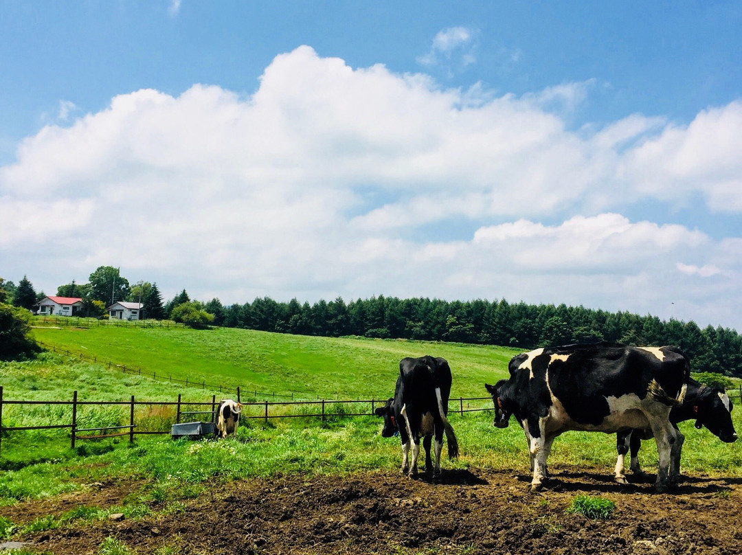Nagato Farm-长和町必去景点