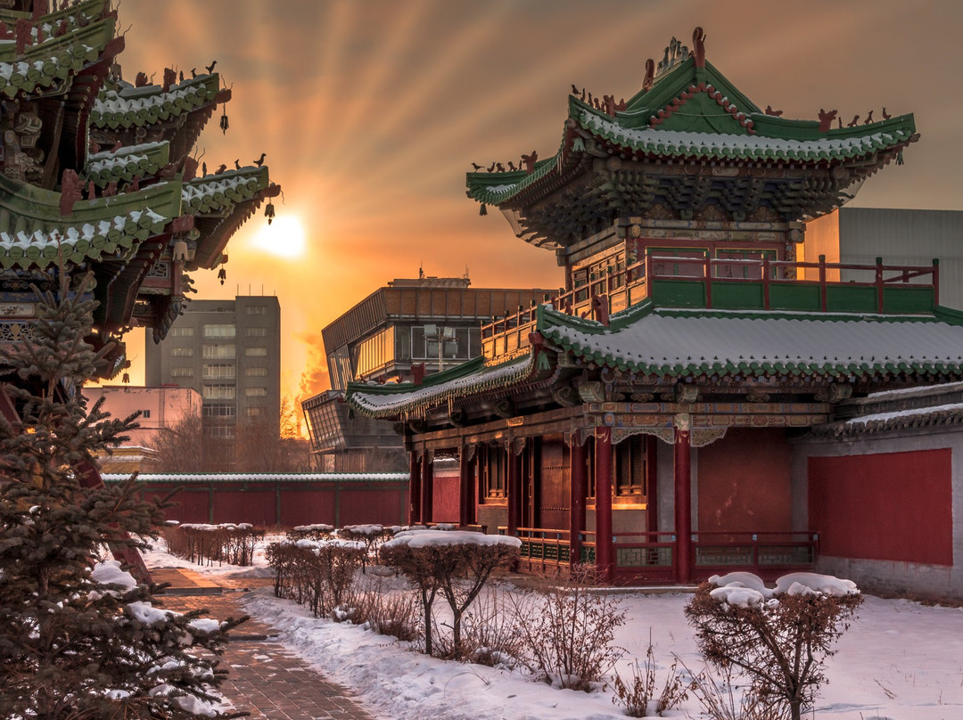 Mongolian Luxury Tours