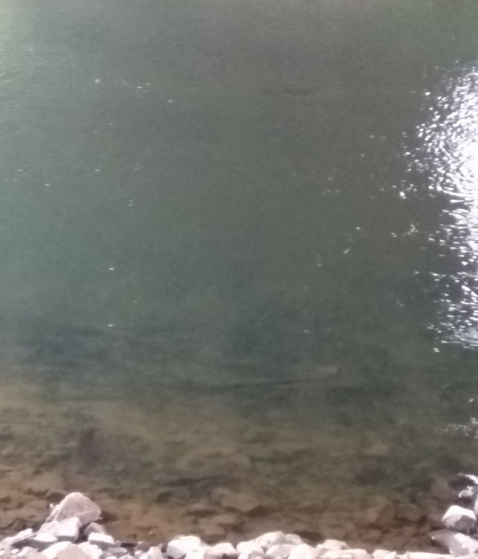 Green River Natural Resources Area-肯特必去景点