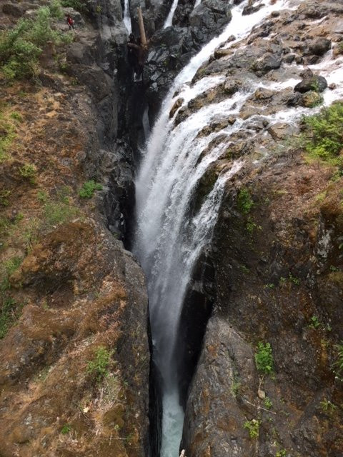 Englishman River Falls Provincial Park景点图片