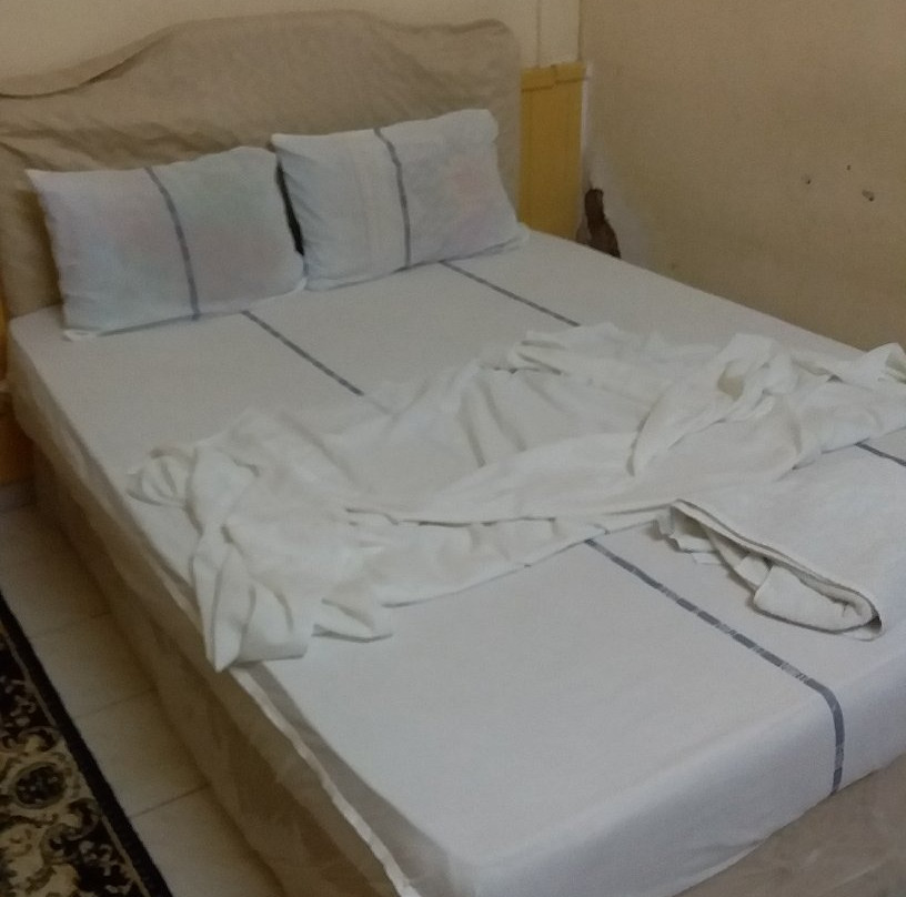 Hotel Rayan Djibouti主图