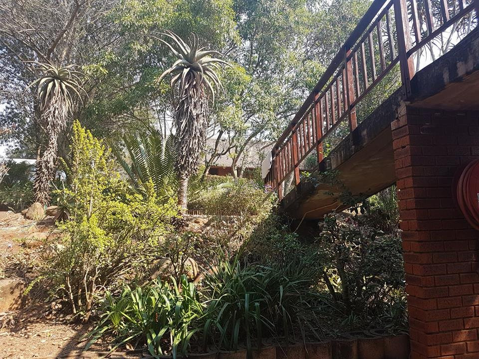 Thorn Tree Lodge & Conference Centre主图