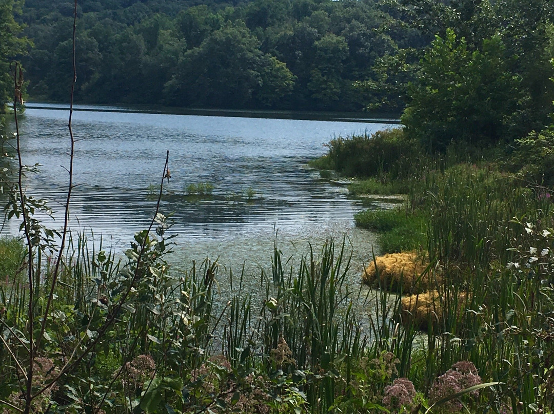 Yellowwood State Forest-纳什维尔必去景点