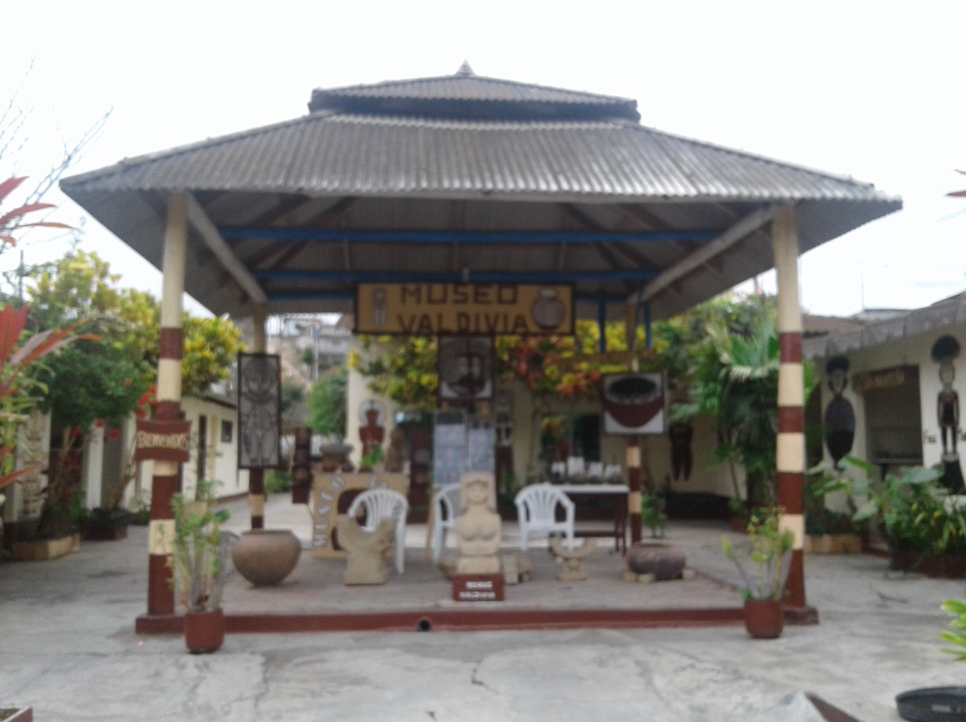 Museo Valdivia景点图片