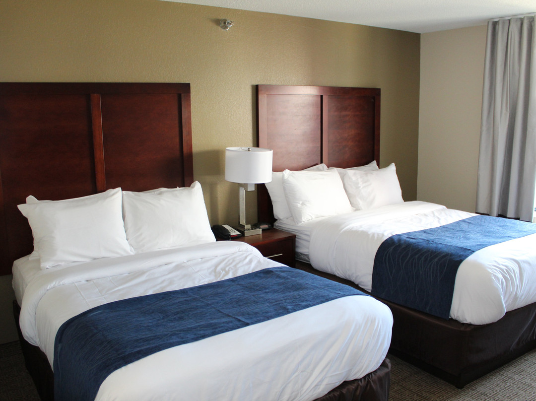 Comfort Inn Danvers - Boston主图