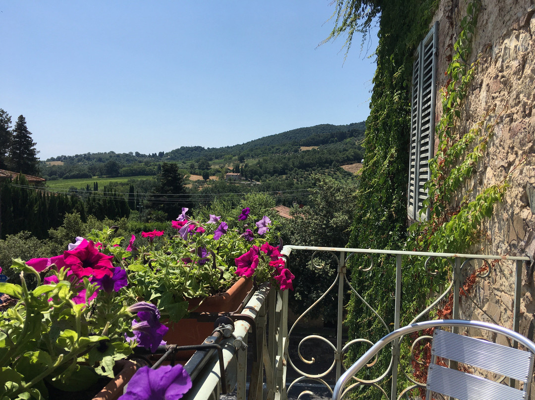 Palazzone酒店住宿-B&B Locanda Toscanini